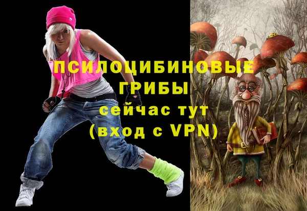прущий лед Ладушкин