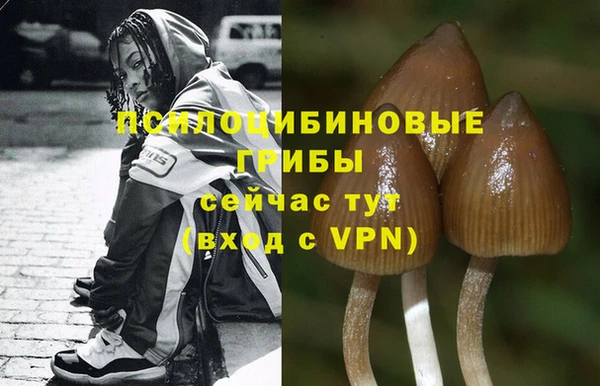 первитин Лабытнанги